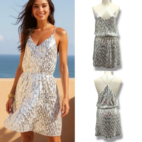 196 ZARA | NWOT Silver Sequin Mini Dress (Size S) - Picture 1 of 16